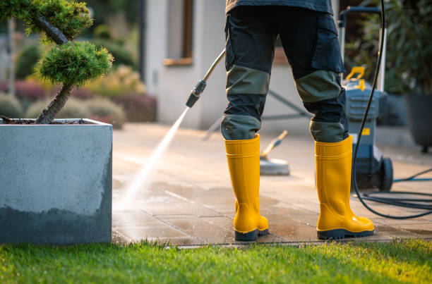 Professional  Pressure Washing in Wailua Homesteads, HI